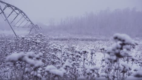 4K-shot-of-winter-vegetation,-with-center-pivot-irrigation-equipment-in-an-open-farm-field,-during-a-freezing-blizzard-snowstorm