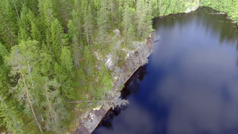 Drone-orbits-on-beautiful-scenery-in-the-boreal-wilderness