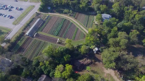 AERIAL:-360-rotating-view-of-a-working-farm-with-rows-of-greenery-growing-in-Austin,-Texas