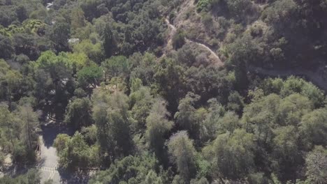 Flying-over-Los-Angeles-mountain-trees