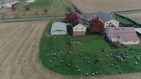 Ariel-View-of-an-Amish-Wedding-on-an-Autumn-Day-with-Buggies,-an-Amish-Playing-Volley-Ball-as-seen-by-a-Drone
