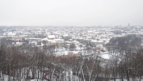 aerial-view-of-Vilnius-from-the-hill-with-forest-and-city-in-distance-covered-in-snow-on-overcast-winter-day