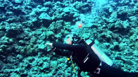 Divers-swimming-on-the-side-of-the-coral-reef-wall