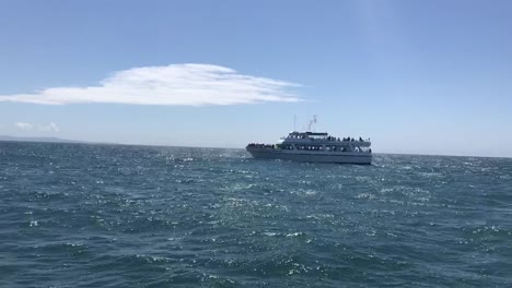 Ein-Riesiger-Buckelwal-Bläst-Wasser-Direkt-Neben-Einem-Walbeobachtungsboot-In-Moss-Landing,-Kalifornien