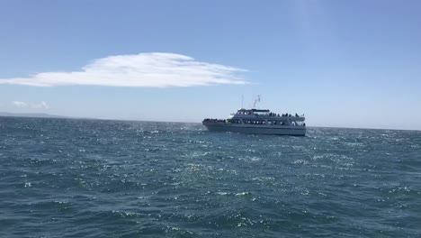 Una-Ballena-Jorobada-Gigante-Que-Sopla-Agua-Justo-Al-Lado-De-Un-Barco-De-Observación-De-Ballenas-En-Moss-Landing,-California