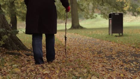 Alone-woman-taking-a-relaxing-walk-in-autumn-leaves-with-wooden-walking-stick-eaves-with-wooden-walking-stick