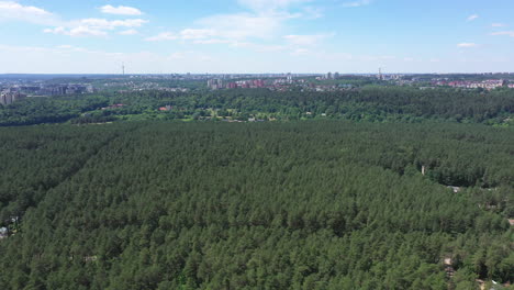 Luftaufnahme:-Flug-In-Richtung-Stadt-über-Grünem-Kiefernwald-Mit-Blauem-Himmel-Im-Hintergrund