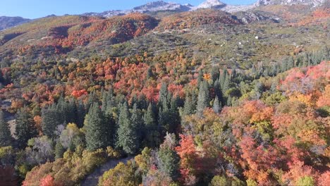 Beautiful-fall-foliage-near-Alpine,-Utah-on-a-sunny-October-day-as-seen-from-the-air