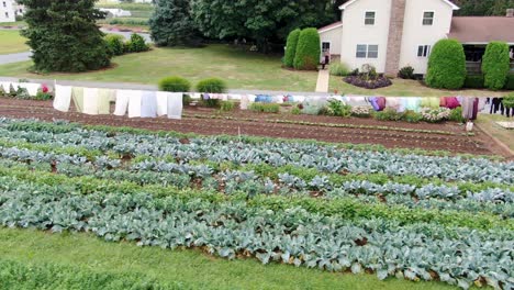 Die-Absteigende-Luftaufnahme-Zeigt-Amish-Bauernhof-Und--Haus,-Mutter-Und-Sohn-Sowie-Gemüse,-Das-In-Einem-Wunderschönen-Garten-Wächst