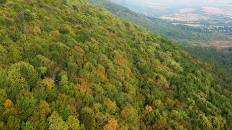 Luftaufnahme,-Berge-Und-Herbstwald-Am-Nebligen-Morgen-Entdecken