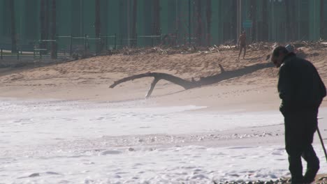 An-old-man-searches-the-beach-for-useful-stuff-in-Barcelona-after-a-devastating-storm---zoomed-shot