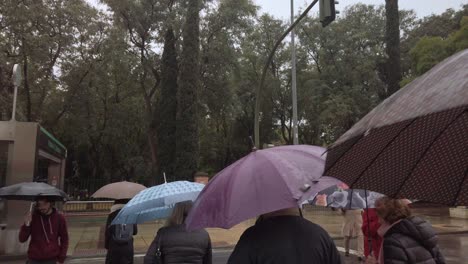 Menschen-überqueren-Die-Straße-Mit-Regenschirmen-Im-Regen,-Zeitlupe-Von-Hinten-Gesehen
