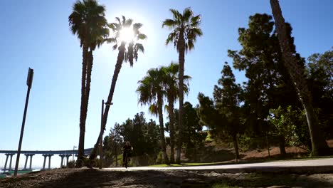 People-riding-bicycle-along-the-coast-of-the-Coronado-Island