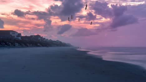 Cinemagraph-of-American-white-pelicans-flying-over-a-beach-at-sunset-or-sunrise---pelicans-are-animated-while-everything-else-is-static