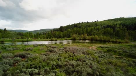 Drone-shot-going-over-a-meadow-and-pond-with-green-shubs-and-trees-surrounding-it
