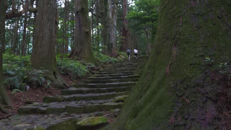 Ein-Paar-Geht-Die-Kopfsteinpflastertreppe-Von-Daimon-Zaka-Auf-Dem-Kumano-Kodo-Pfad-Hinauf