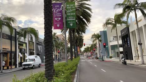 Caminando-Por-Rodeo-Drive,-Beverly-Hills,-Punto-De-Vista