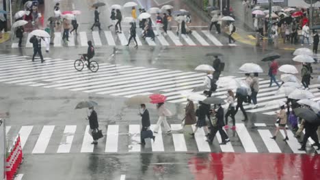 Trabajadores-Sosteniendo-Paraguas-Mientras-Caminan-En-El-Cruce-De-Shibuya-En-Tokio,-Japón-Durante-La-Temporada-De-Lluvias---Tele-Tiro