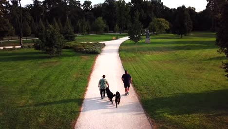 Aerial-view-of-a-couple-training-to-follow,-their-two-bernese-dogs-in-a-city-park