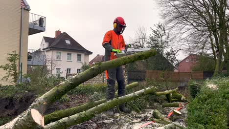 Professional-lumberjack-logger-cutting-tree-trunk-into-small-pieces-in-garden-during-cloudy-day