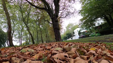 Zeitraffer-Von-Autos,-Radfahrern,-Fußgängern-Und-Zügen,-Die-Während-Der-Hauptverkehrszeit-Vorbeifahren,-Und-Gras,-Das-Mit-Bunten-Herbstblättern-Bedeckt-Ist