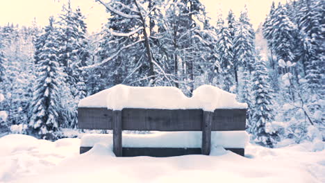 Wooden-bench-buried-in-snow-in-front-of-a-winter-forest,Czechia