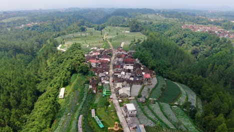 Traditionelles-Bauerndorf-Inmitten-Von-Reisterrassenfeldern-Kragilan-Indonesien-Luftaufnahme