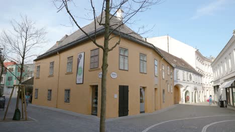 Vista-Frontal-De-La-Casa-De-Beethoven-En-Baden,-Cerca-De-Viena,-Con-Un-árbol-Delante.