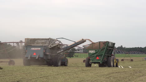 Olar,-South-Carolina---September-16,-2020:-A-harvester-harvesting-peanuts-in-a-large-field-in-South-Carolina-in-black-and-white