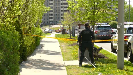 Ein-Polizeibeamter-Aus-Toronto-Nimmt-Den-Spürhund-Mit,-Um-Bei-Der-Operation-Am-Tatort-In-Einem-Wohngebiet-Zu-Helfen