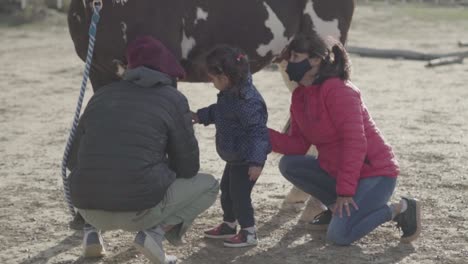 Una-Joven-Toca-El-Caballo-Con-La-Ayuda-De-Entrenadores-De-Animales-En-Argentina.