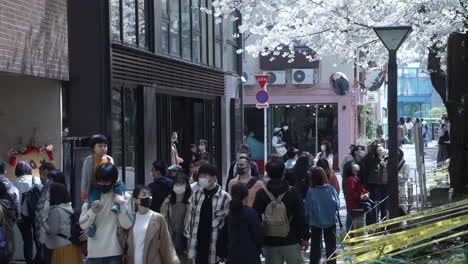 Menschen,-Die-Während-Des-Hanami-Inmitten-Der-Pandemie-In-Tokio,-Japan,-Masken-Tragen