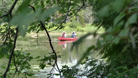 View-Through-Tree-Leaves-Of-People-Canoeing-In-The-Old-Ausable-Channel-At-Pinery-Provincial-Park-In-Grand-Bend,-Ontario,-Canada