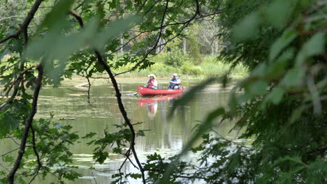 Vista-A-Través-De-Las-Hojas-De-Los-árboles-De-Personas-En-Canoa-En-El-Antiguo-Canal-Ausable-En-Pinery-Provincial-Park-En-Grand-Bend,-Ontario,-Canadá