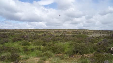 Wide-slow-mo-shot-of-man-with-bobbly-hat-throwing-stick-for-his-dog-on-top-of-Stanage-Edge,-Sheffield,-Peak-District,-England