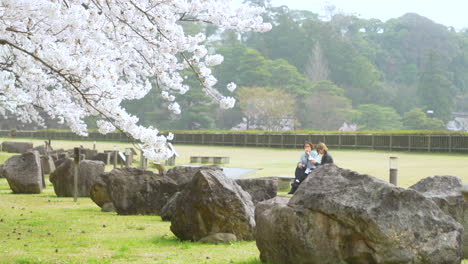 Turistas-Disfrutando-De-Una-Tarde-Tranquila-Junto-Al-Parque-Durante-La-Temporada-De-Sakura-En-La-Prefectura-De-Kanazawa-En-Japón---Plano-General