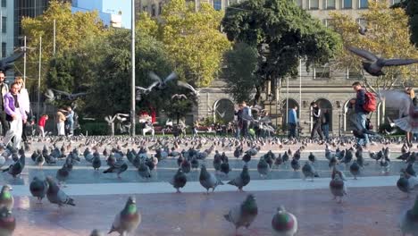 Barcelona-square-filled-with-many-pigeons-that-fly-towards-the-camera-as-tourists-walk