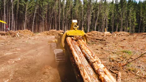 Skidder-dragging-lumber-logs-in-clearcutting-area-for-processing,-woodpile