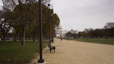 Hermoso-Parque-Y-Cúpula-Del-Edificio-Del-Capitolio-A-Distancia,-Vista-De-Avance