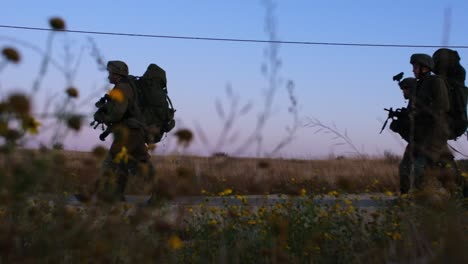 A-silhouette-of-combat-soldiers-walking-with-equipment-in-the-sunset-while-in-the-foreground-there-are-some-flowers