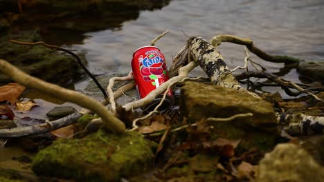 This-is-a-static-shot-of-a-Strawberry-Fanta-soda-can-in-some-roots-by-the-water