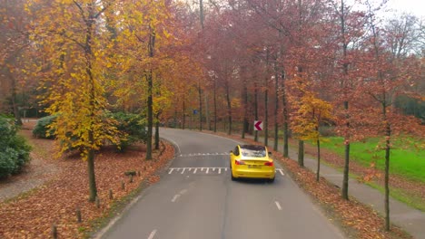 Un-Vuelo-De-Drone-Siguiendo-Un-Tesla-Amarillo,-Que-Conduce-Por-Un-Camino-Forestal-Y-Se-Dirige-Al-Puente-Del-Castillo