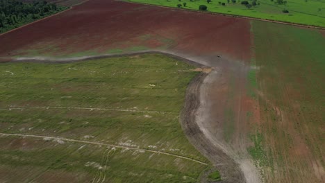 Las-Tierras-De-Cultivo-Utilizadas-Para-La-Producción-De-Soja-Formaron-Parte-De-La-Sabana-Brasileña-Antes-De-La-Deforestación---Vista-Aérea