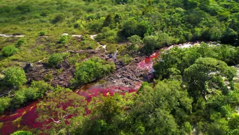 Caño-Cristales-Fluss-In-Sieben-Farben-Mit-Markanten-Rotalgen-Im-Wasser-Und-Reflexionen-Des-Sonnenlichts-Auf-Der-Oberfläche,-Kolumbianischer-Fluss-In-Der-Sierra-De-La-Macarena,-In-Der-Provinz-Meta