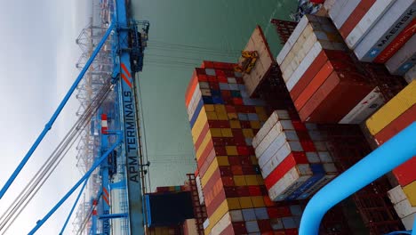 Overlooking-Crane-Lift-At-APM-Terminal-In-Rotterdam