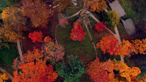 Aerial-bird's-eye-view-over-a-park-with-colorful-trees-and-green-grass-beside-a-lake-at-daytime