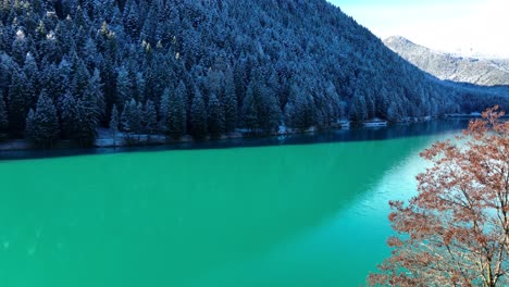 Drone-Aerial-view-of-lake-in-the-Alps-and-forest-with-snow-in-winter