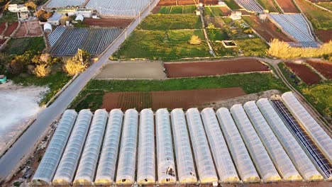 Lines-of-industrial-greenhouses-in-farmland-area-of-Malta,-aerial-view