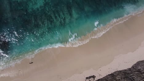 Los-Pájaros-Aéreos-Observan-Las-Olas-Rompiendo-En-La-Playa-Diamond-En-Nusa-Penida.