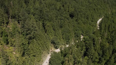Aerial-following-a-group-of-jeep-driving-off-road-on-a-path-hidden-between-a-dense-green-pine-woodland-at-daytime,-British-Columbia,-Canada